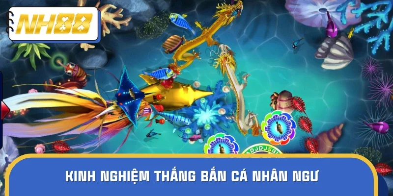 Bỏ túi bí quyết chơi là thắng khi vào game