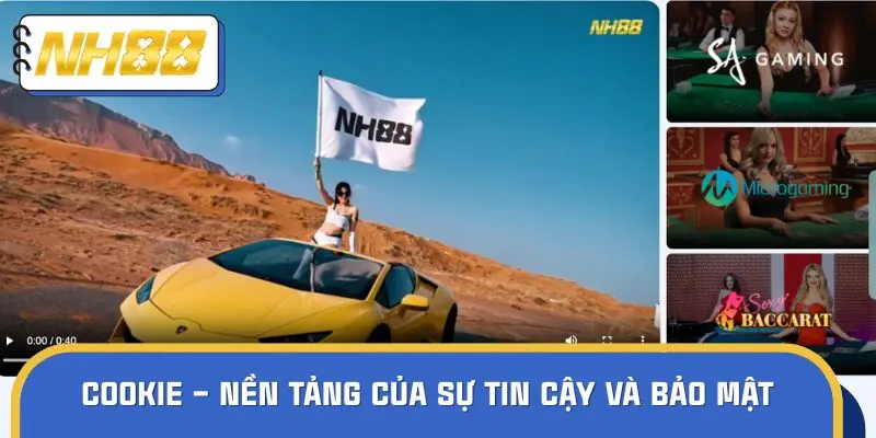 Cookie – Nền tảng của sự tin cậy và bảo mật