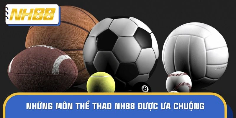 Những môn thi đấu ấn tượng tại sảnh thể thao của NH88