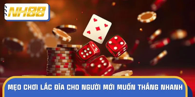 Mẹo chơi lắc đĩa cho người mới muốn thắng nhanh